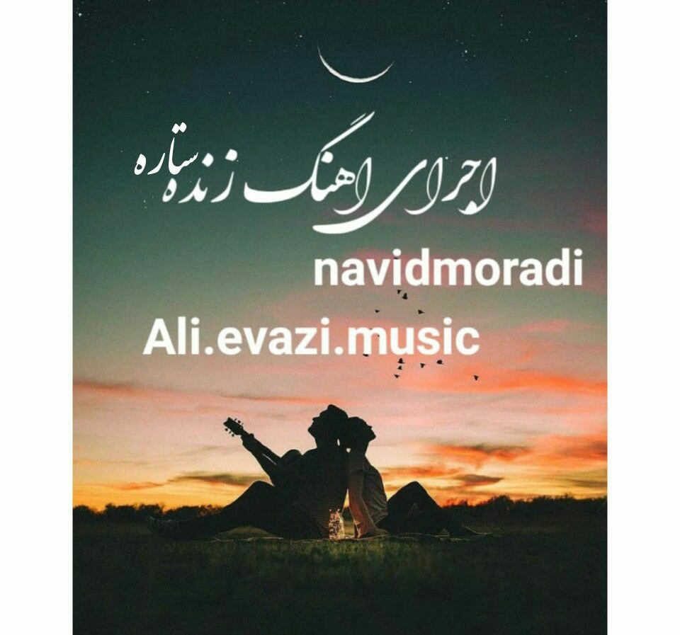 علی عوضی و نوید مرادی ستاره